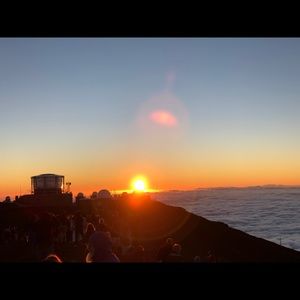 Meet your Posher, Silas